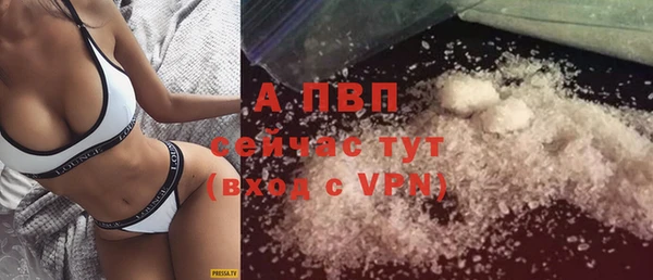 стаф Белоозёрский