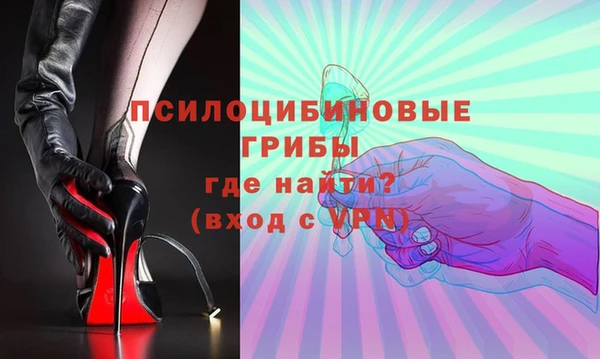 стаф Белоозёрский